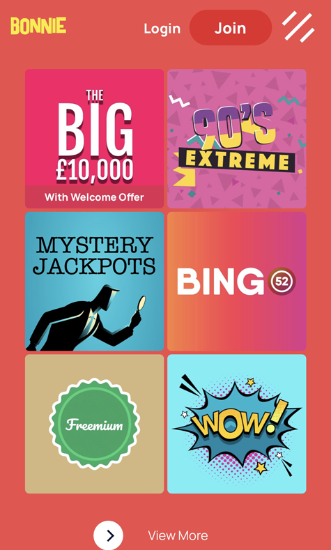 an image capturing the Bonnie Bingo homepage