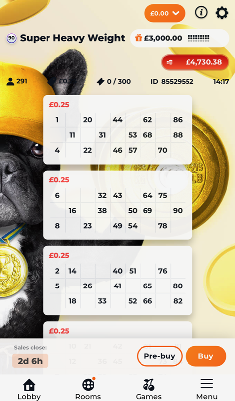 screenshot of an eagle spins bingo game