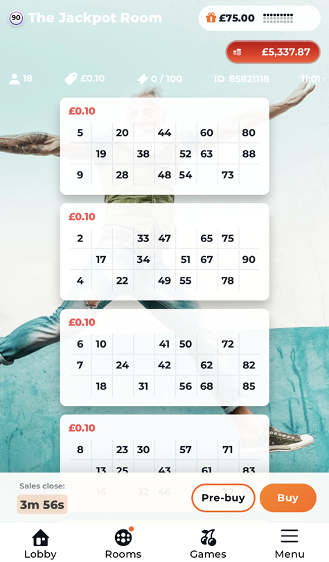 Bingo game screenshot at Incredible Spins