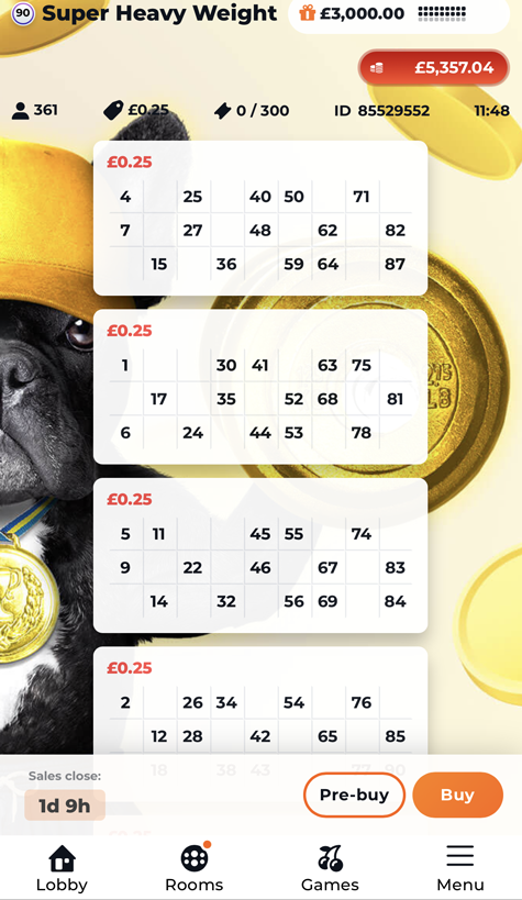 an image showing the bingo tickets at New Spins