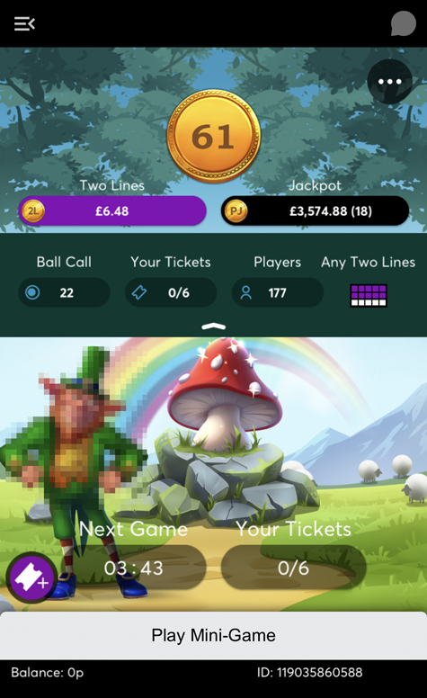 bingo game screenshot at Rainbow Riches Casino 