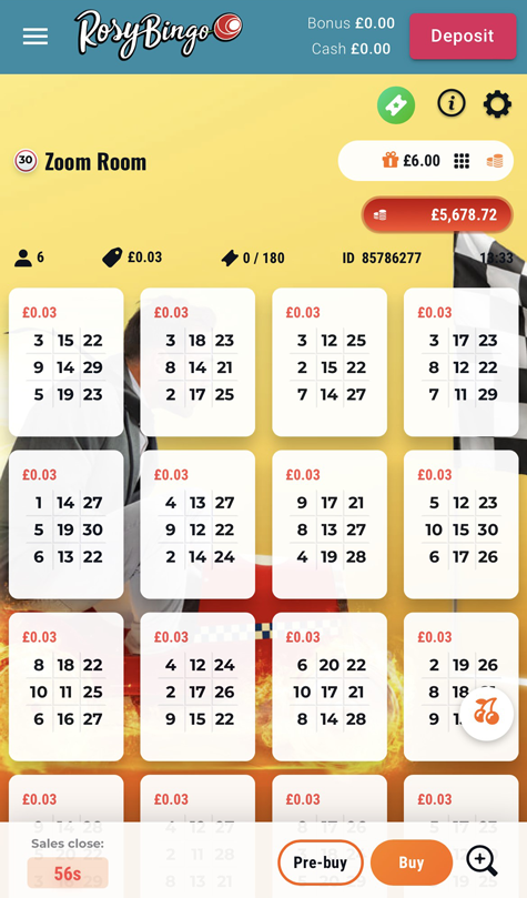 a screenshot of the bingo tickets at Rosy