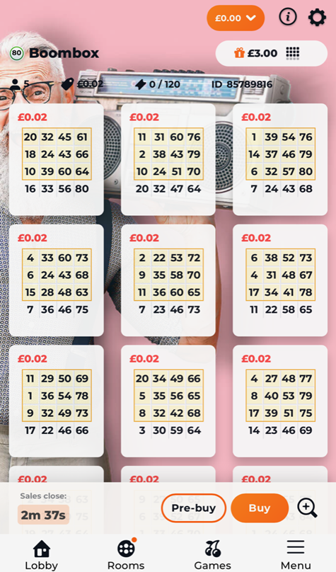 80-ball bingo tickets at Volcano