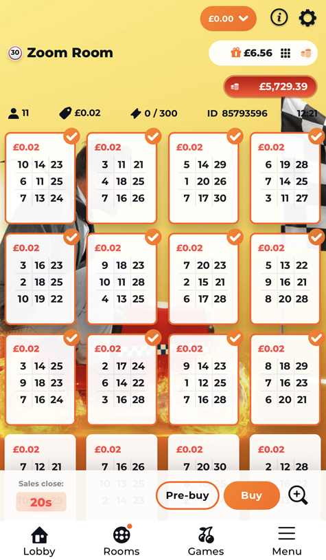 An image of the bingo tickets at Zeus