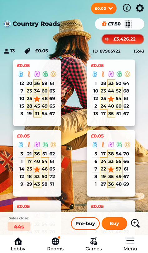 an image showing the bingo tickets 123 Spins