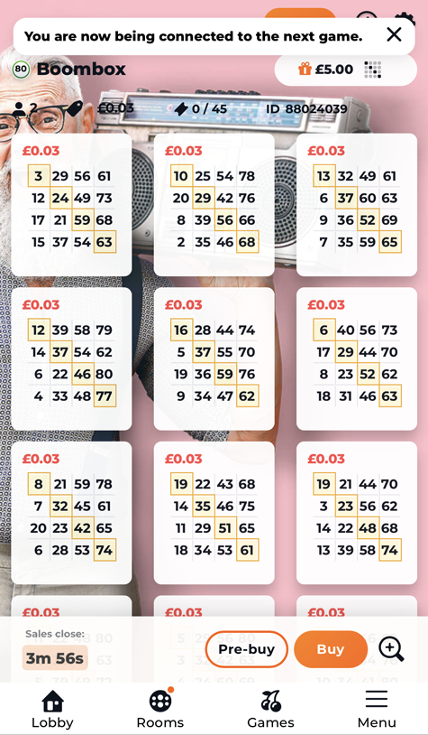an image of the bingo cards