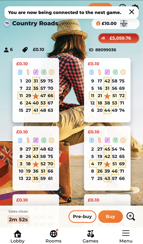 bingo tickets image