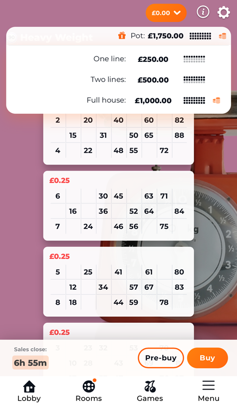a screenshot of the bingo tickets at Irish Wins