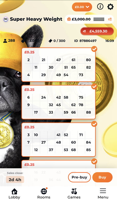 jackpot bingo tickets